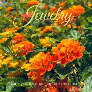 Jewelry, jewelry, jewelry